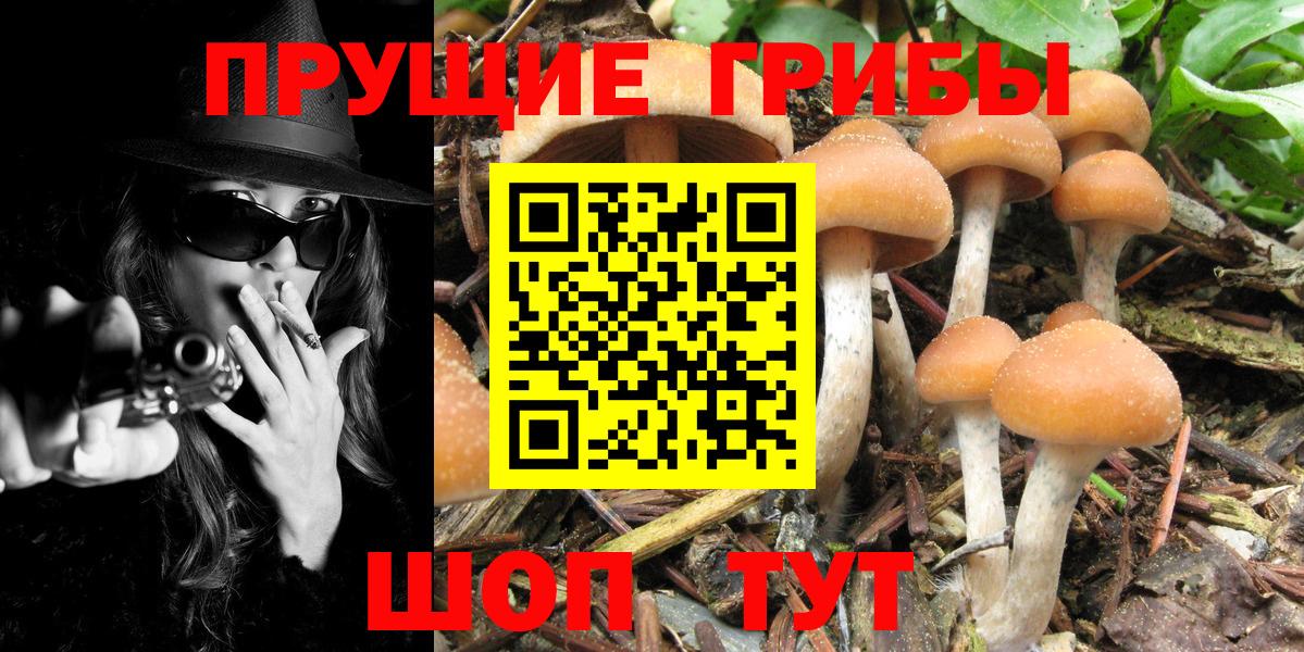 что такое наркотик  Галлюциногенные грибы ЛСД  Вход с VPN  Протвино 