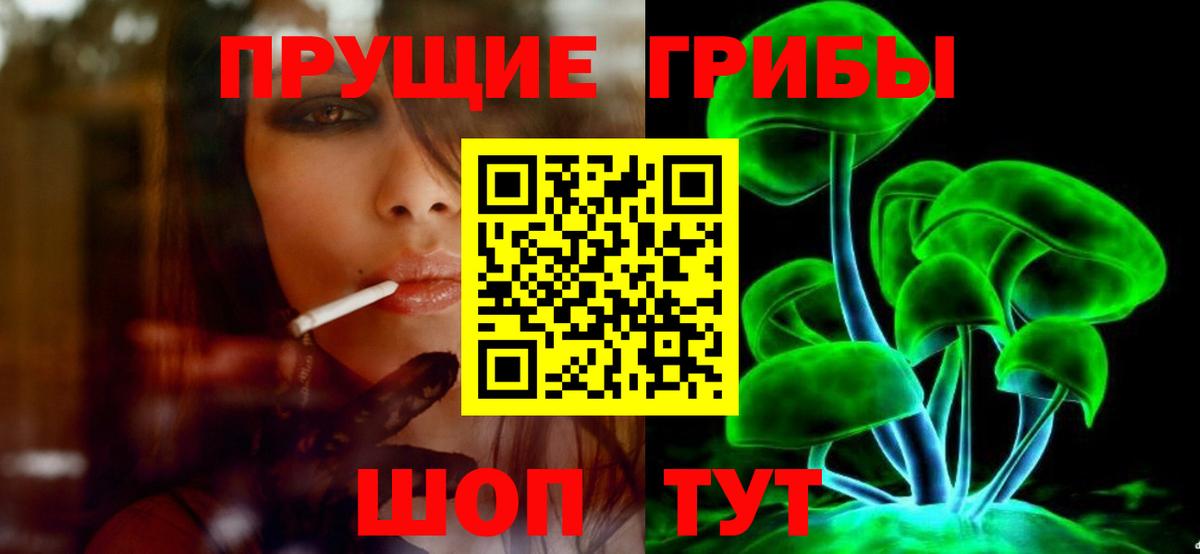 Галлюциногенные грибы Cubensis Протвино